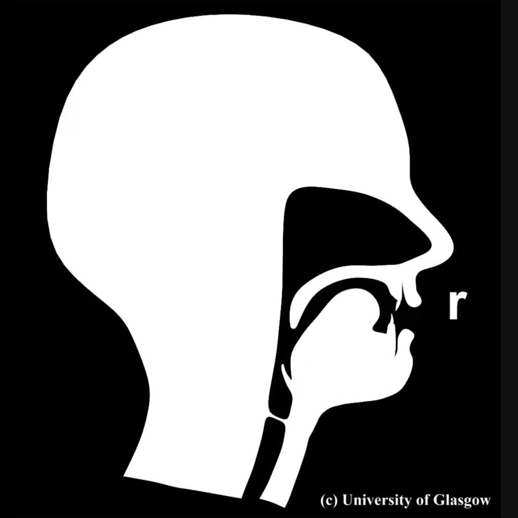 Tongue front consonants