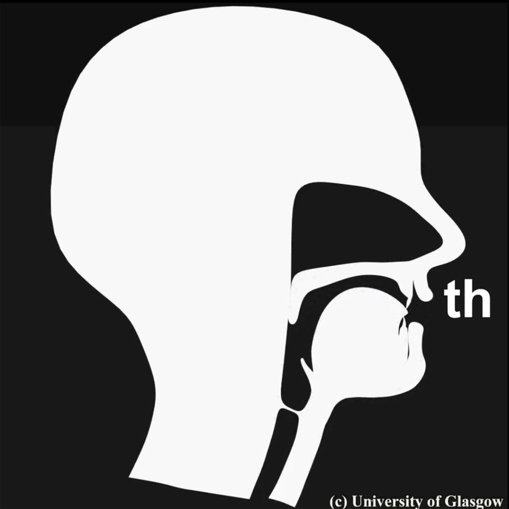 Tongue tip consonants